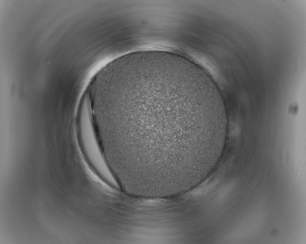 X0000090501471200707201536