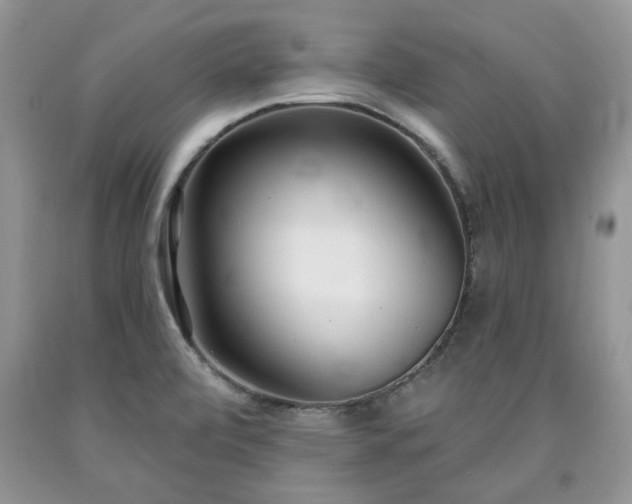 X0000090501472200707201536