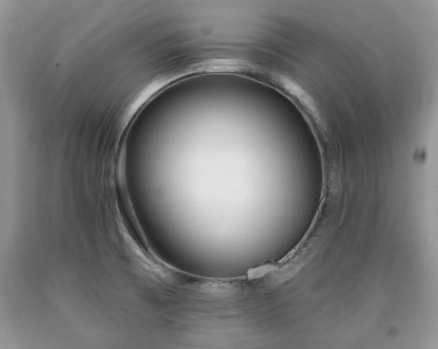 X0000090501473200707201536
