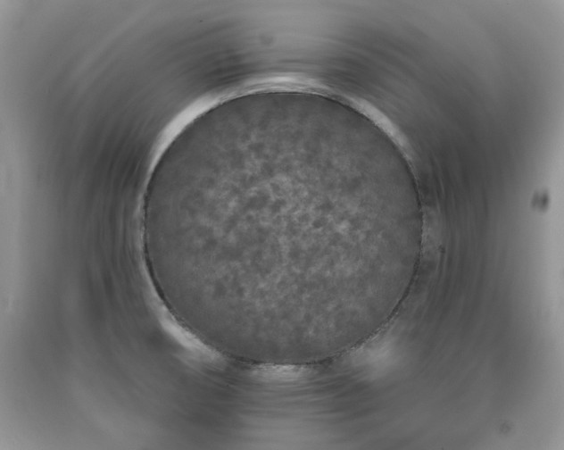 X0000090501474200707201536