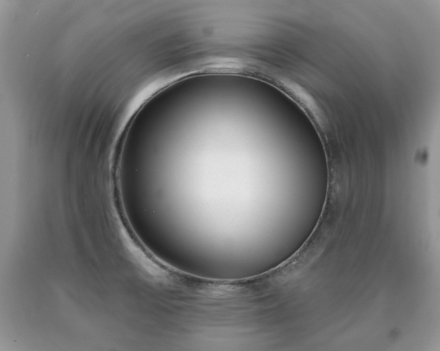 X0000090501475200707201536