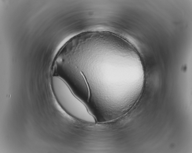 X0000090501476200707201536