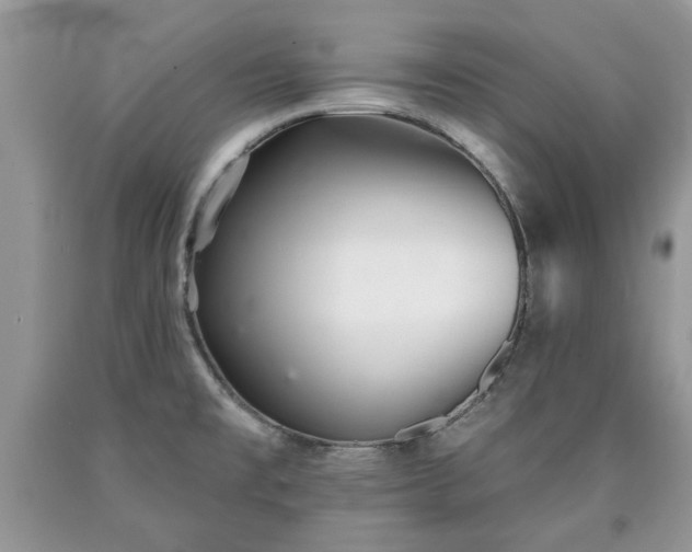 X0000090501477200707201536