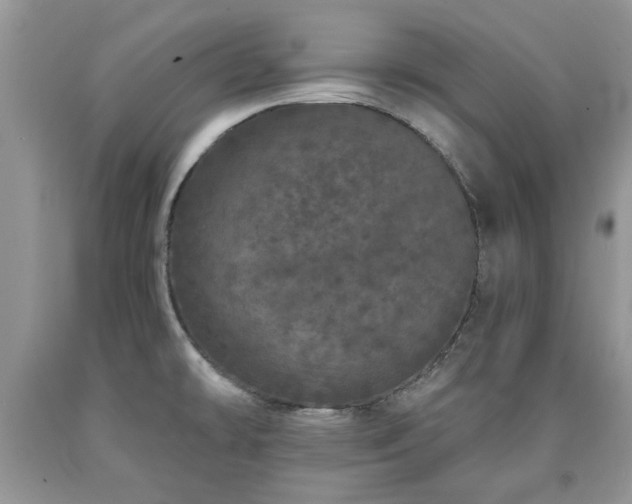 X0000090501478200707201536