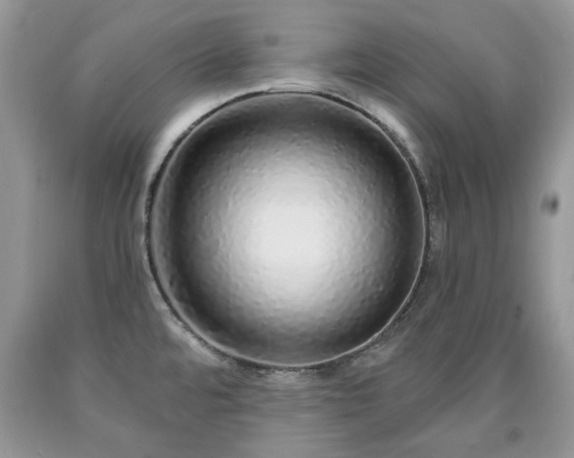 X0000090501480200707201536
