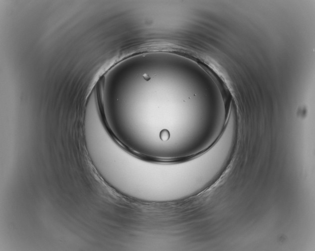 X0000090501481200707201536