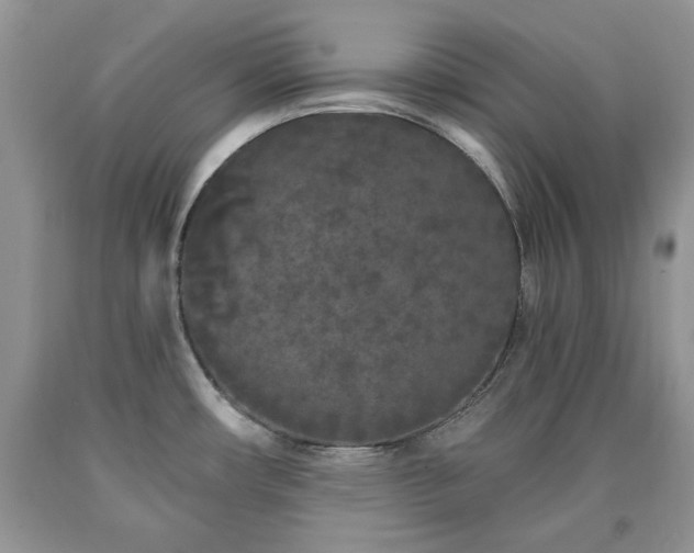 X0000090501482200707201536