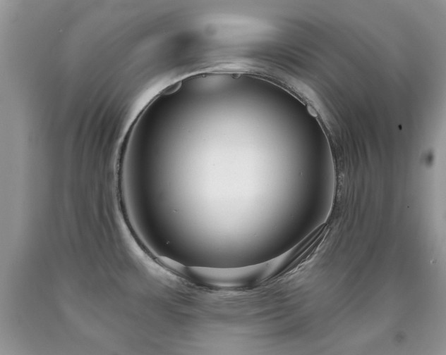 X0000090501483200707201536