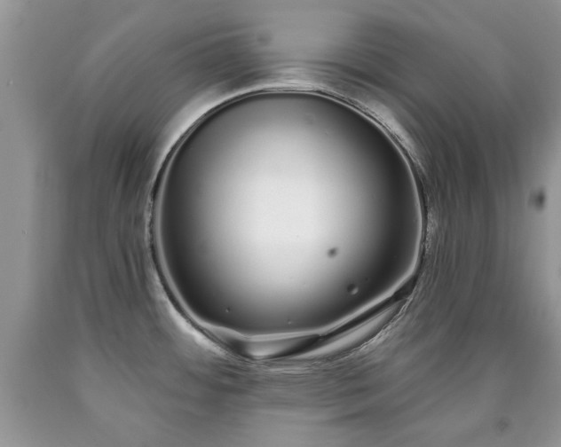 X0000090501484200707201536
