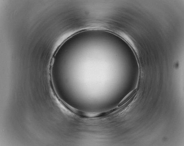 X0000090501485200707201535