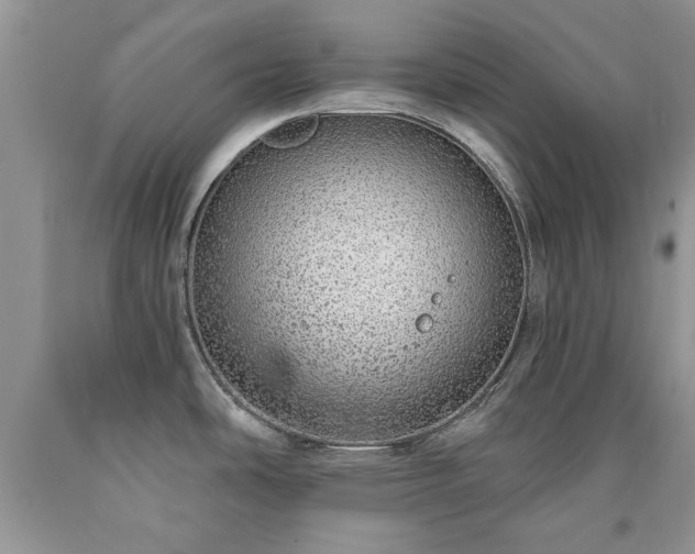 X0000090501486200707201535