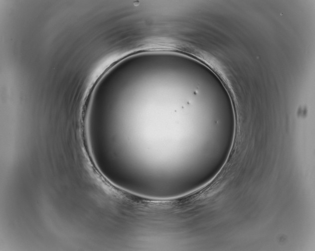 X0000090501488200707201535