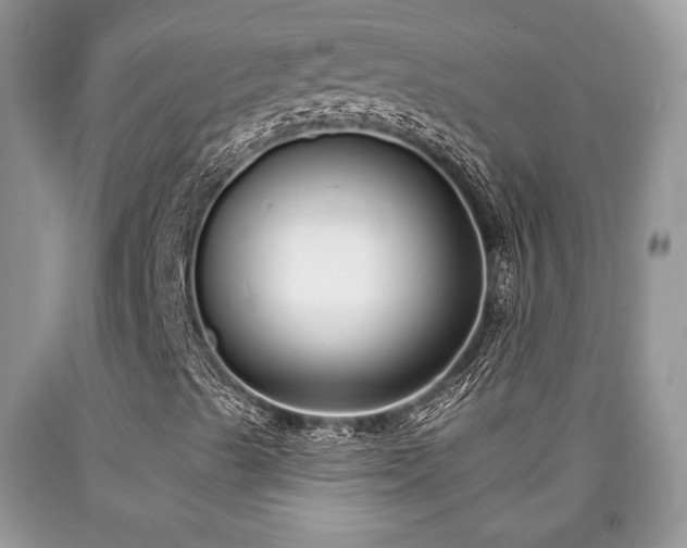 X0000090501489200707201535