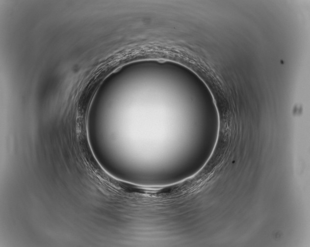 X0000090501490200707201535