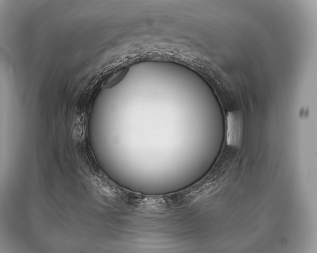 X0000090501491200707201535
