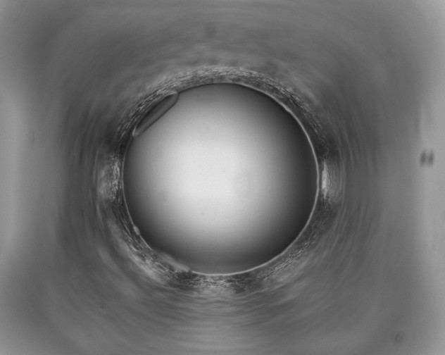 X0000090501492200707201535
