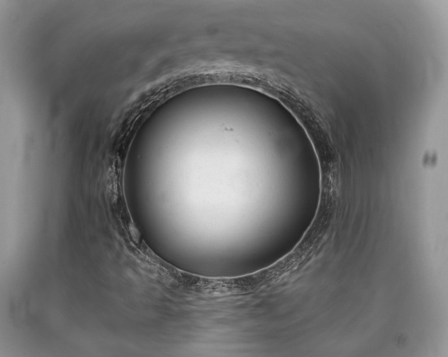 X0000090501493200707201535