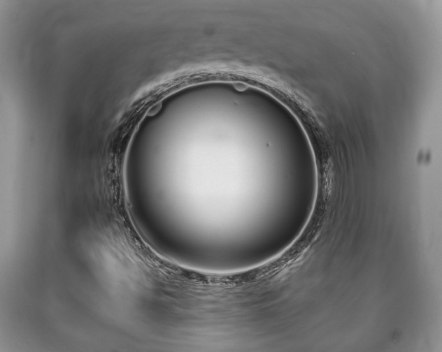 X0000090501494200707201535