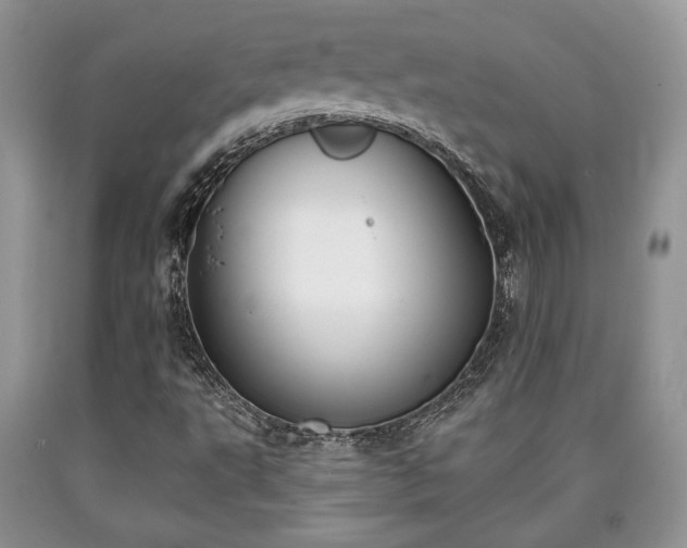 X0000090501495200707201535