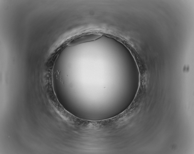 X0000090501496200707201535