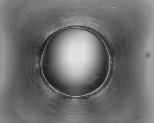 X0000090501497200707201535