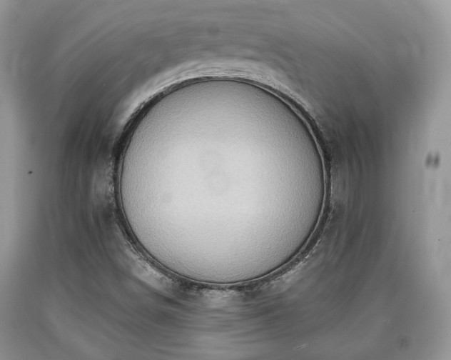 X0000090501498200707201535