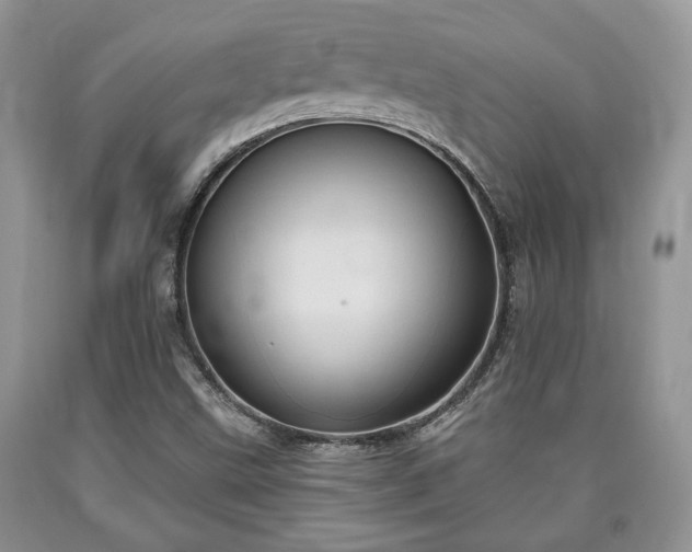 X0000090501499200707201535