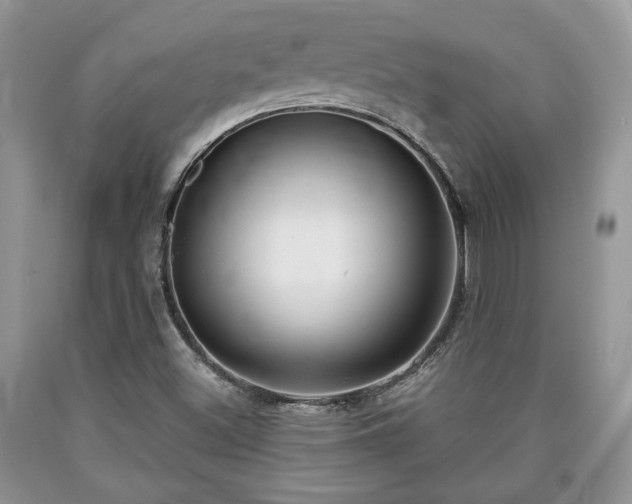 X0000090501500200707201535