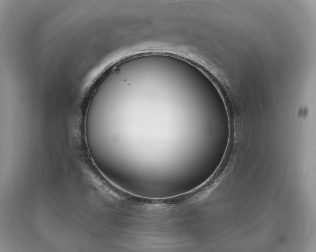 X0000090501502200707201535