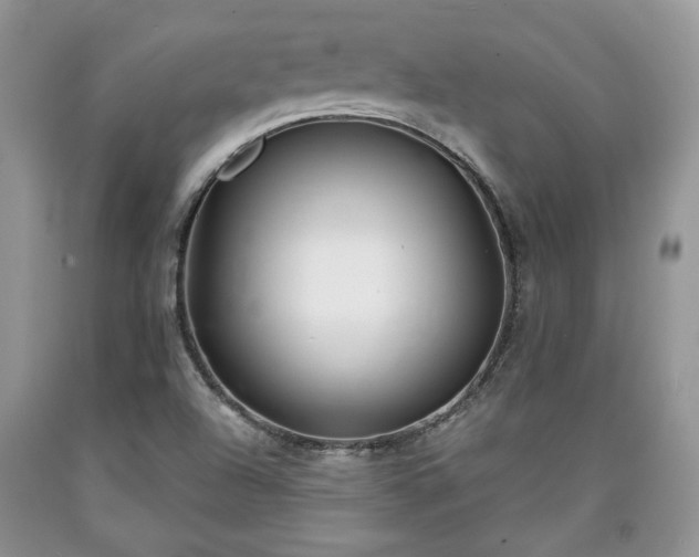 X0000090501504200707201535