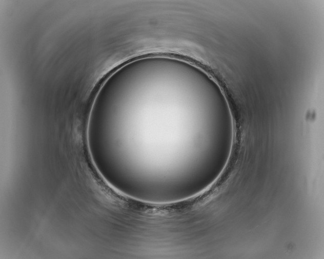 X0000090501505200707201535