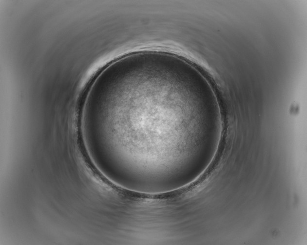 X0000090501506200707201535