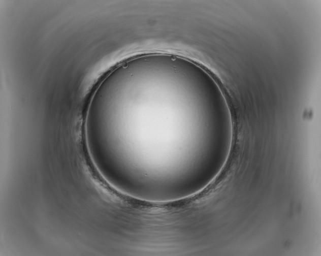 X0000090501507200707201535
