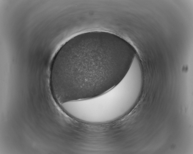 X0000090501508200707201535