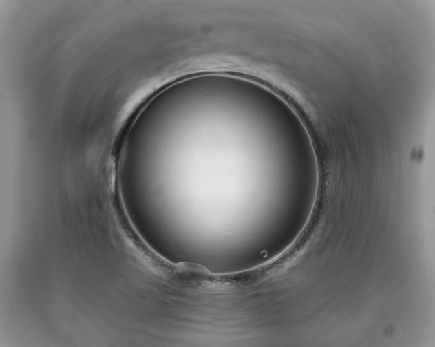 X0000090501509200707201535
