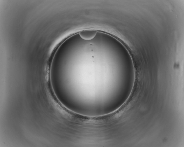 X0000090501510200707201535
