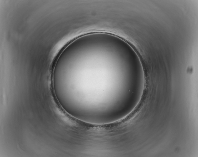 X0000090501511200707201535