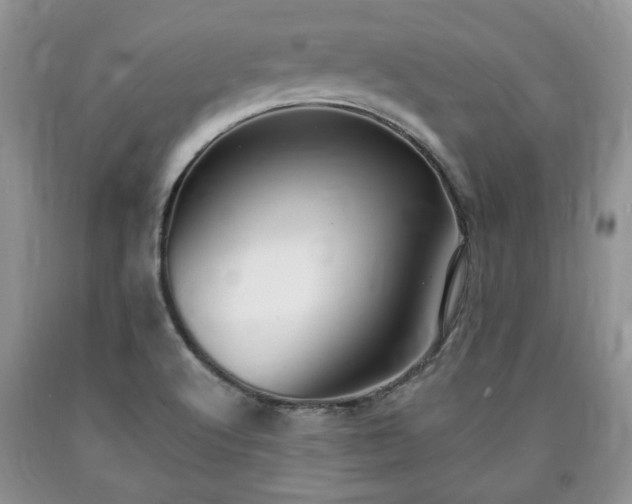 X0000090501512200707201535