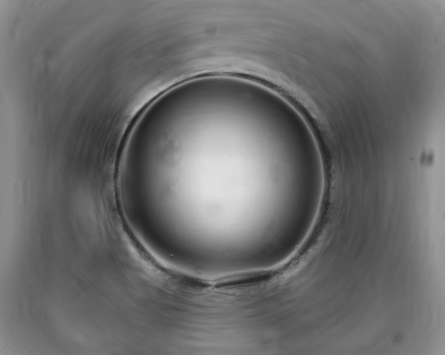 X0000090501513200707201535