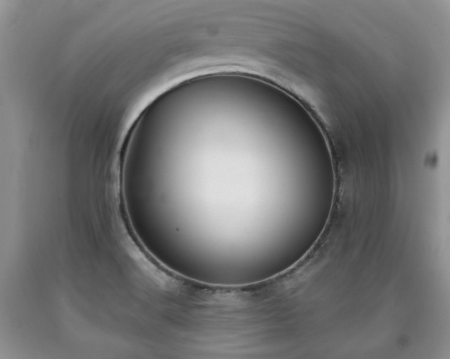 X0000090501516200707201535