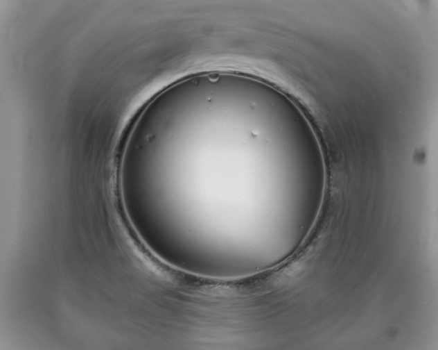 X0000090501517200707201535