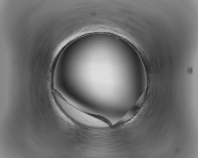 X0000090501518200707201535