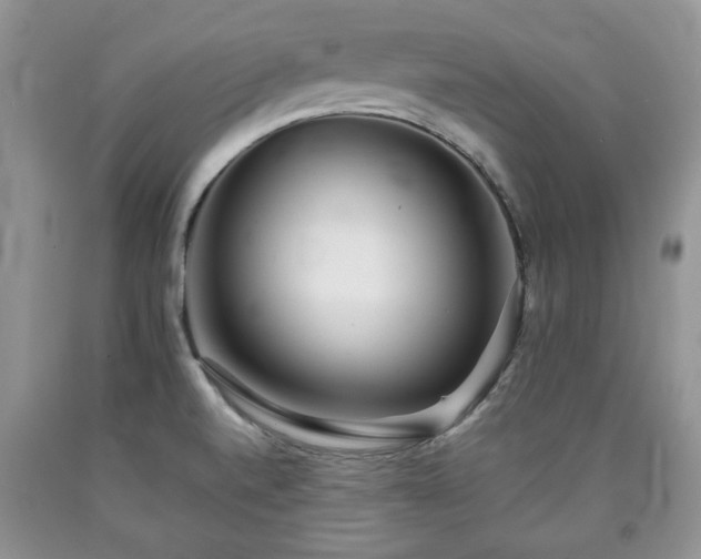 X0000090501520200707201535
