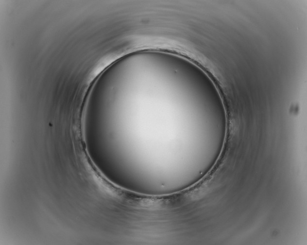 X0000090501521200707201535