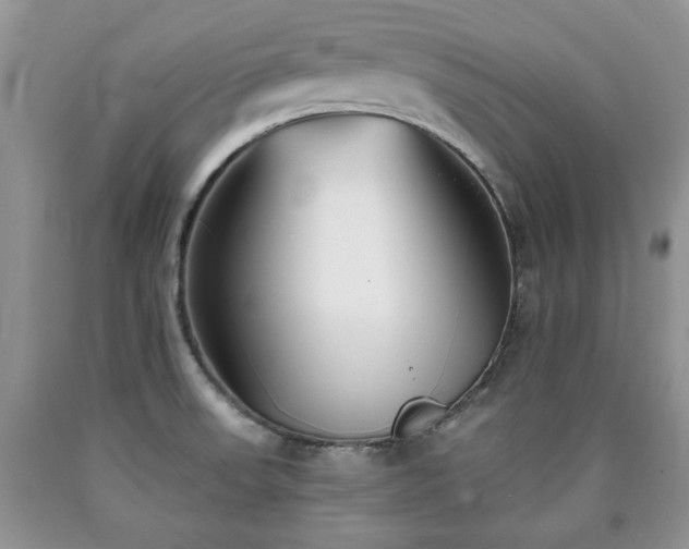 X0000090501523200707201535