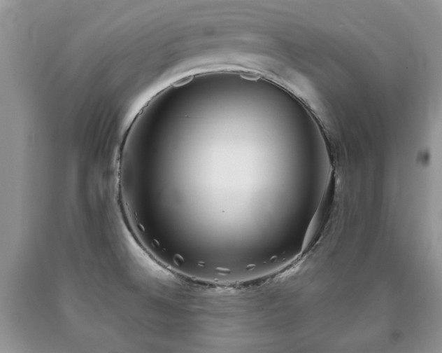 X0000090501524200707201535