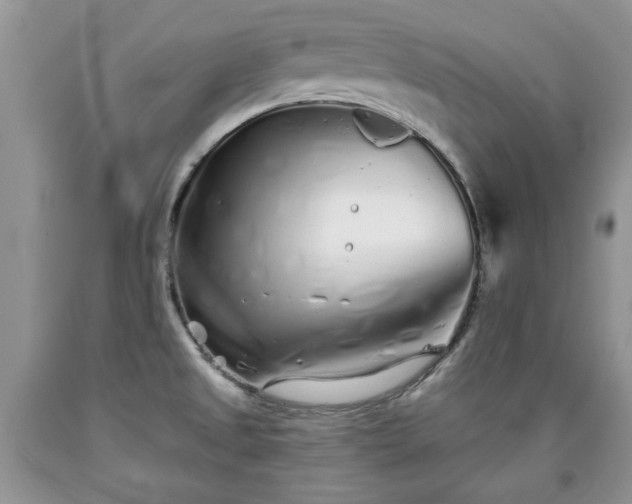 X0000090501525200707201535