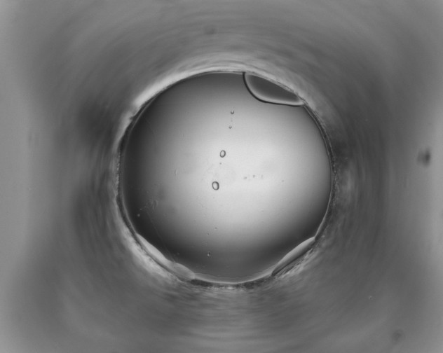 X0000090501526200707201535