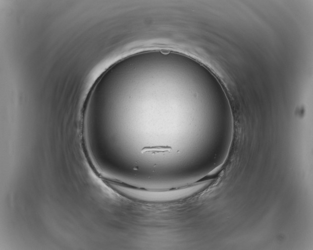 X0000090501527200707201535