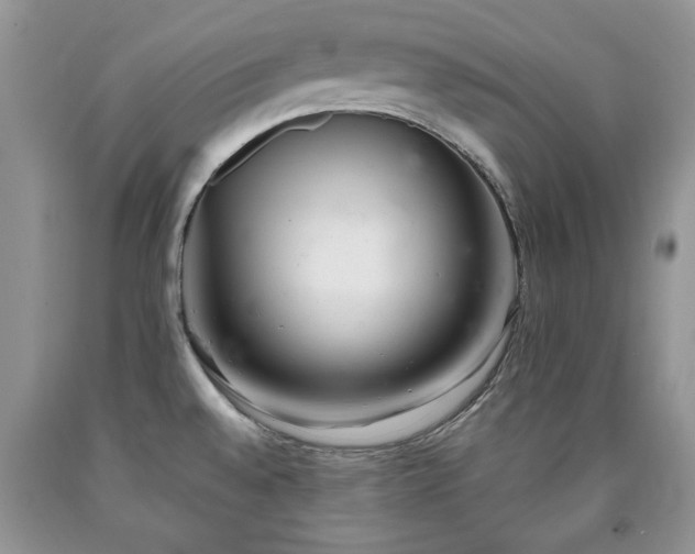 X0000090501528200707201535